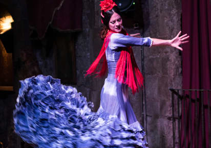 Flamenco Show in Barcelona with Local Dancer in Barcelona - b6952ae24ad405de8bf075b652293895