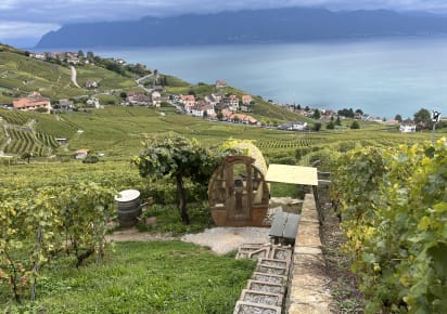UNESCO World heritage vineyards in Lausanne - b885ecd5fb2ec2555456c58055de243f