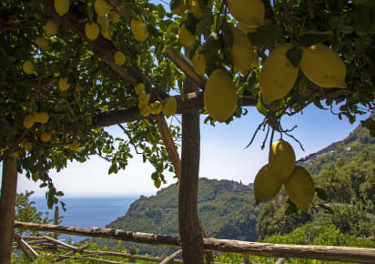 Lemon Path Discovery: Hiking the Enchanting Amalfi Coast in Sorrento - bd9959f4dc2fcf2c14d3ed1dc747ee18