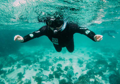 Cape Town From the Water: Snorkeling & Penguins in Cape Town - be6770d67f703029aec3eb7cac32362d