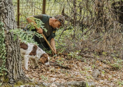 Truffle Hunting & Tuscan Cooking Experience on a Traditional Farm in Siena - c716c4dcbafed7fed7fc1809b4f4c0a7