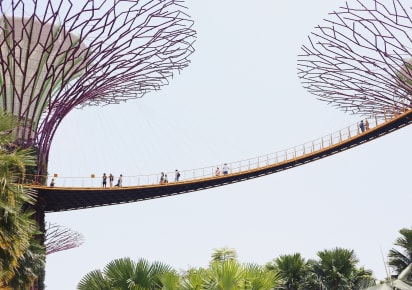 Treasures of Singapore: Gardens by the Bay Tour in Singapore - c7f8523807fccd0143e58140f190235c