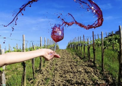 Wine and food under the Tuscan sun - a true experience in the Chianti region  in Siena - c8dbdb0900bb4f14f5aff484dc39f306