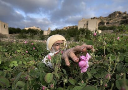 The real Oman: Day trip to the Mountain Villages  in Muscat - ce910aaaa4a8c67bd19a1771002bb176
