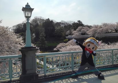The Ultimate Kanazawa tour in Kanazawa - d0ed3f829d314229a3778e63659f9fc1