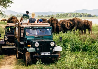 Exploring Sri Lanka: Best Multi-day Private Tour  in Colombo - d4194953ab02d5a66bceb5f213ec6d56