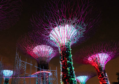 A Magical Evening in Singapore: City Tour in Singapore - dedb6f11cd76b272b570eb4e9fbab8d6