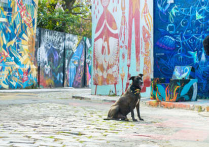 Off the Beaten Track in São Paulo: Vila Madalena Tour in São Paulo - Sao_Paolo_OTBT1.jpg