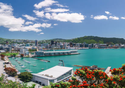 City Kickstart Tour: Wellington in Wellington - AdobeStock_313744863.jpg