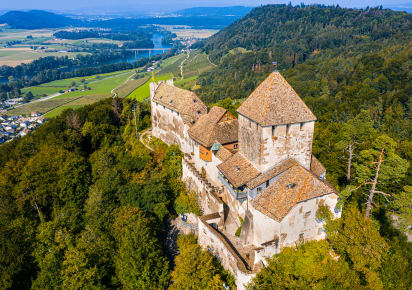 Ultimate VIP Rhine Falls Experience: Day Trip for Up to 5 People in Zürich - Rhine_Falls_Day_Trip_Car_MAIN.jpg