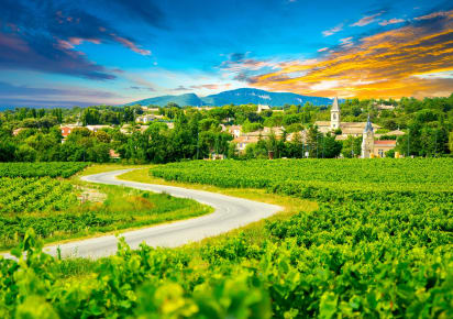Withlocals Your Way! : Day Trip from Dijon in Dijon - Dijon_WLYW_Trip_Burgundy_MAIN.jpg