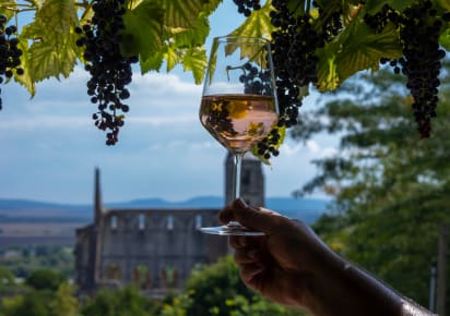Countryside Half-Day Wine Tour to Etyek with Lunch in Budapest - Day_Trip_Etyek1.jpg