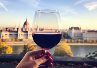 Sips of Hungary: Wine & Local Bites Tour in Budapest in Budapest - Budapest_Wine_and_Bites4.jpg
