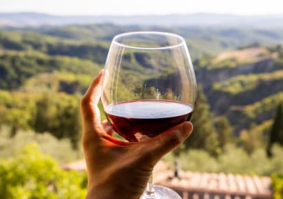 Gastronomical Adventure: Barolo, Alba  & Grinzane Cavour Castle  in Milan - Milan_Day_Trip_Barolo1.jpg