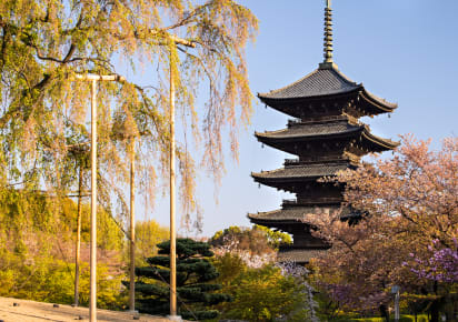 Withlocals Your Way! - Nara City Tour in Nara - Nara_Your_Way3.jpg