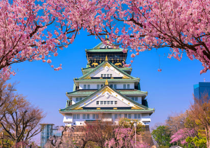 Osaka's Majestic Past: A Journey Through Time at the Historic Castle in Osaka - AdobeStock_315839366.jpg