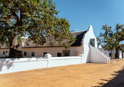 Vineyard Voyage: Unveiling Wine Delights of Stellenbosch in Cape Town - Cape_Town_wine_day_trip6.jpg