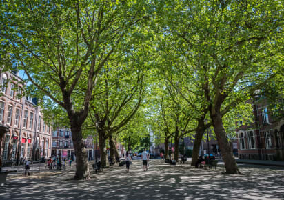 East Side Stories: A Walking Tour of Amsterdam’s Hidden Side in Amsterdam - AdobeStock_354112269.jpg