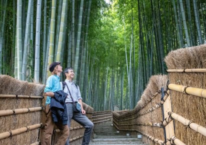 City Escape:  Day Trip Arashiyama & Bamboo Grove in Kyoto - e05261f92f36b8069fa4b4b60843ca20