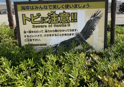 Kamakura Highlights: Half-Day Adventure in Yokohama - e6275a57a17eb8a283454b44e3021692