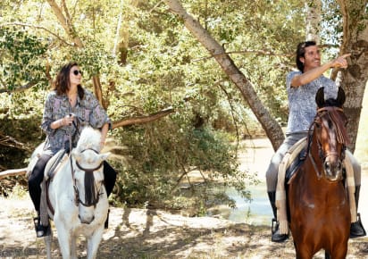 La Algaba Horse Buggy or Horseback Riding Countryside  in La Algaba - e66777322c87544f548b3c8872065dd4