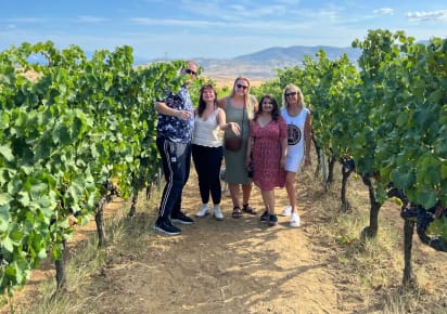 Full Day Wineries Tour from Istanbul through 3 Vineyards in stanbul - e7495a85d45efeba792f4cf8912c8150