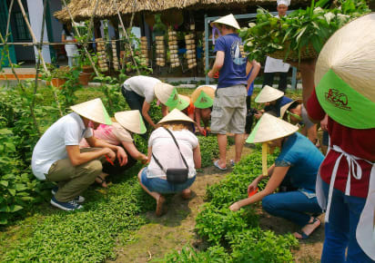 Healthy Cooking Class at Local Farm in Ho Chi Minh City - nuj0yrku6pruq5ob5en3