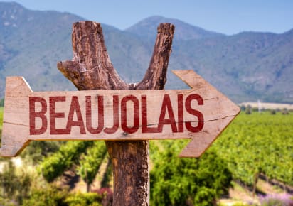 City Escape: Beaujolais Day Trip in Lyon - Lyon_Beaujolais3