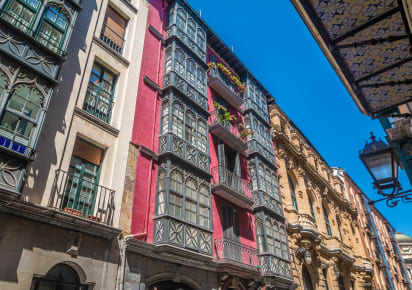 Exclusive Highlights & Hidden Gems of Bilbao with a Local Licensed Guide in Bilbao - Bilbao_HHG3