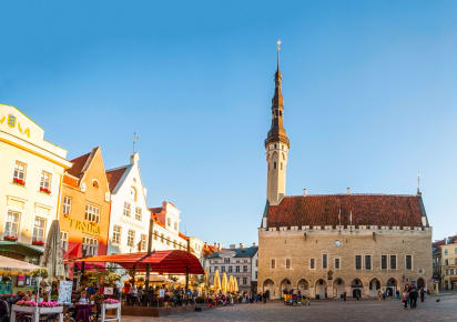 Highlights & Hidden Gems of Tallinn in Tallinn - AdobeStock_109665631