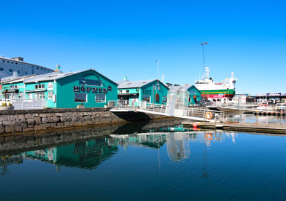 Highlights & Hidden Gems of Reykjavik in Reykjavik - AdobeStock_311511392_Editorial_Use_Only