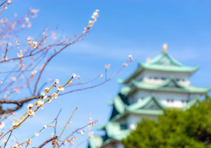 Explore the Nagoya Castle & Surroundings with a Local Guide in Nagoya - Nagoya_Castle_MAIN
