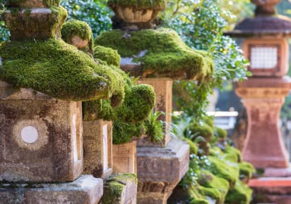 Highlights & Hidden Gems of Nara in Nara - Nara_HHG
