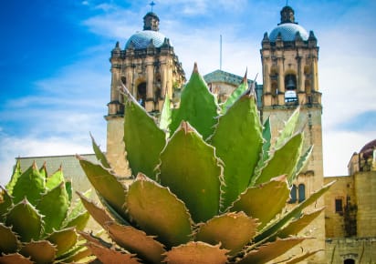 Withlocals Your Way! - Oaxaca City Tour in Oaxaca - Oaxaca_WLYW3