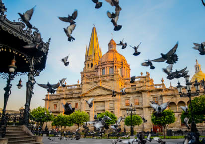 Highlights & Hidden Gems of Guadalajara in Guadalajara - Guadalajara_HHG5