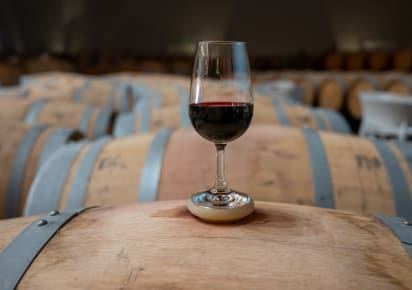 Gastronomic Adventure: Journey from Bilbao to Rioja with Two Winery Stops in Bilbao - Rioja_tour_MAIN