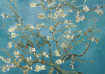 Explore the Van Gogh Museum with a Local Guide in Amsterdam - Van_Gogh_Amsterdam