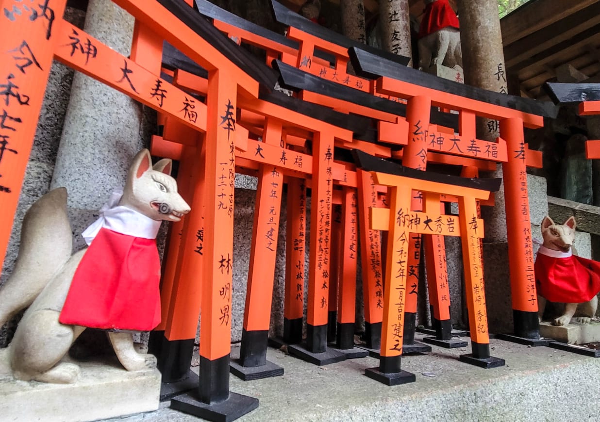 Shinto Basics & Buddhist Insights: A Kyoto City Walk - Withlocals