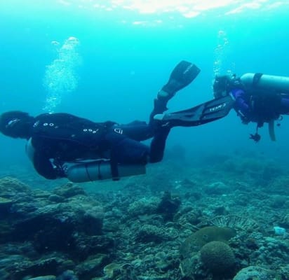 Discover Scuba Diving in Anilao Batangas Marine Park - Manila - Withlocals