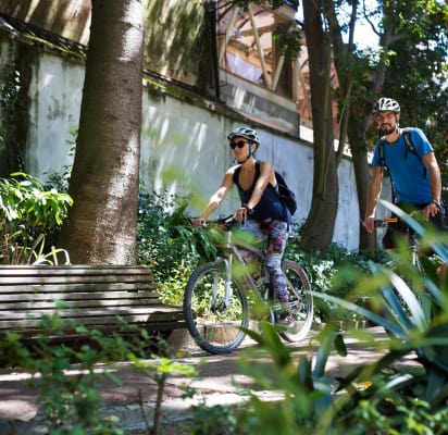 city bike tour