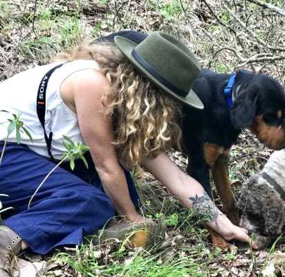 Truffle Hunt Lunch in Italian Countryside Withlocals
