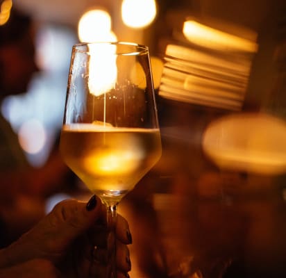 Visite Des Vignobles Avec Un Specialiste Du Vin Withlocals