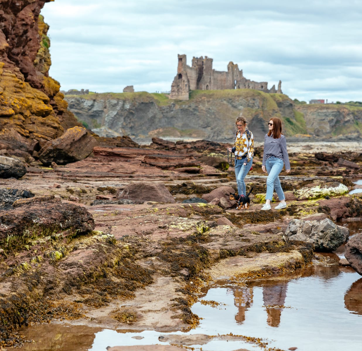 Beautiful East Lothian Beaches Private Day Trip - 