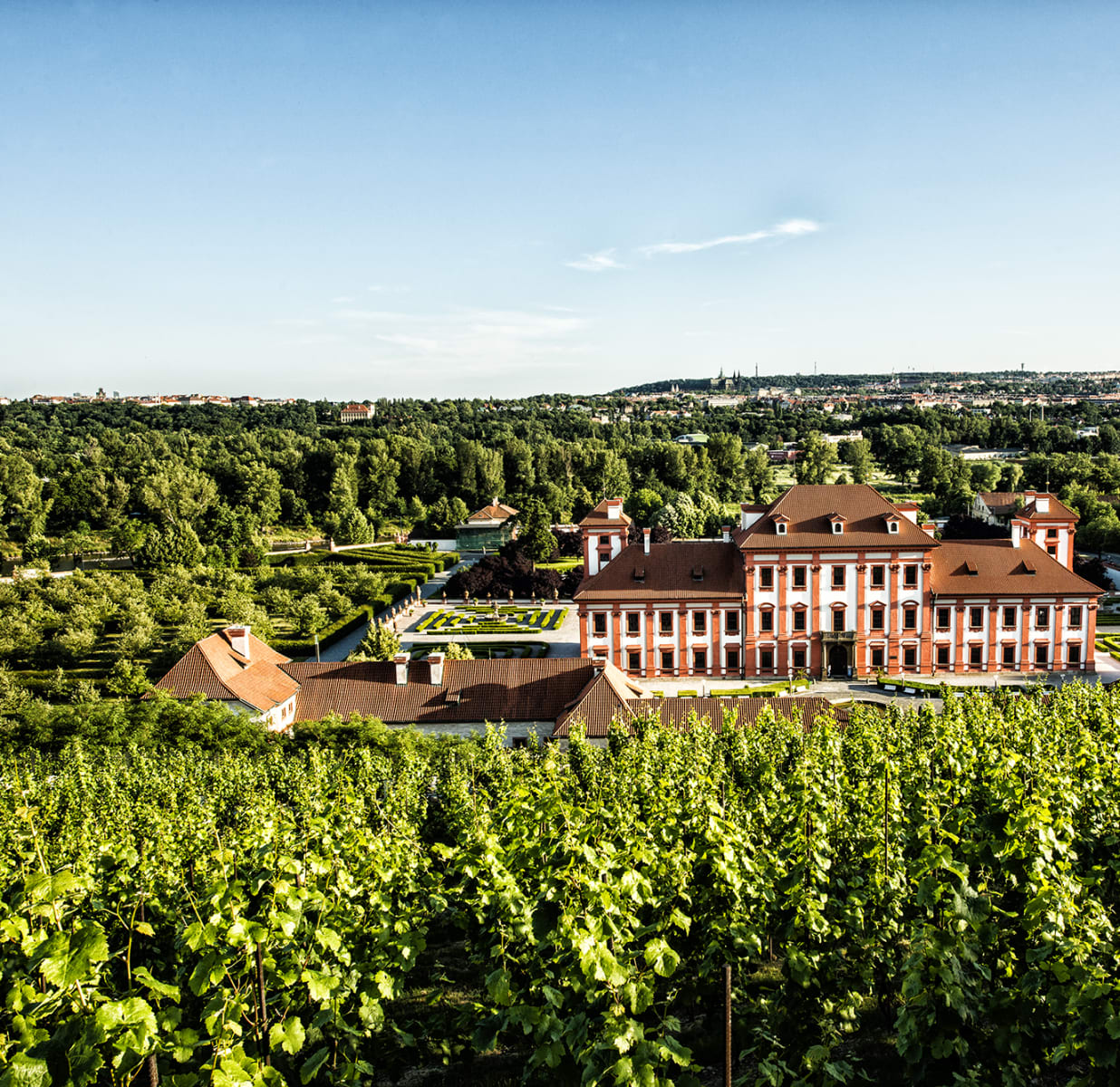Prague S Hidden Vineyards Wine Tastings Withlocals