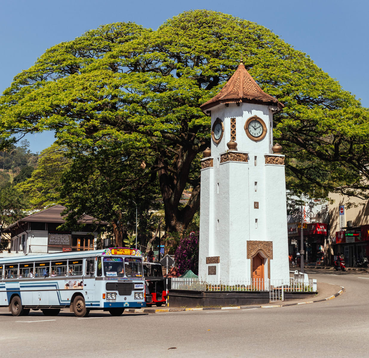 The Best Day Tours in Kandy: Epic Adventures Await!