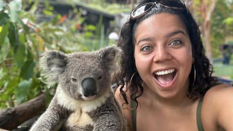Nature and Wildlife - Australia in One Day in Sydney - 0569c94c6e32a99350887225739a8234