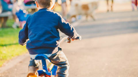 Family Bike Tour: Discover Valencia! in Valncia - 057dad95cfc608db10ee154f015f9205