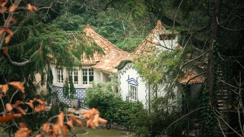 The Hidden Spots of Sintra - a Hiking Tour in Lisbon - 086221aef31a7dcce69dfa82fa5129b5