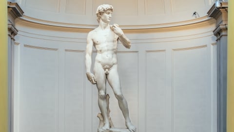 Michelangelo's Life & Skip the Line at Accademia Museum in Florence - 0dda4825772c8c8b55918ead146340dc