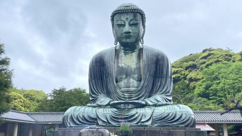 Discover the beauty of Kamakura, an ancient city in a day trip! in Kamakura - 0def8095f009802f119ff5be34395f72